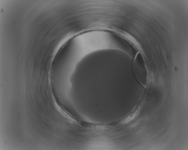 X0000067870958200604271732