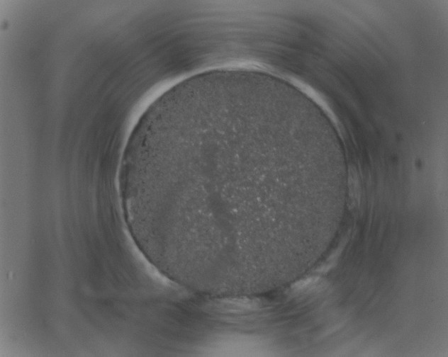 X0000067870959200604271732