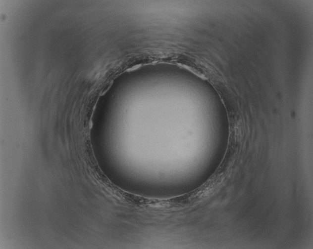 X0000067870961200604271732