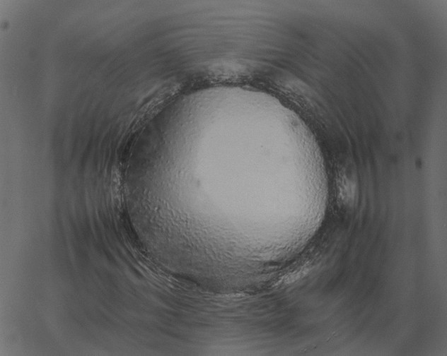 X0000067870964200604271732