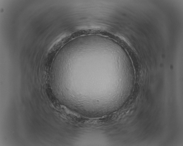 X0000067870967200604271731