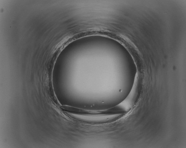 X0000067870969200604271731