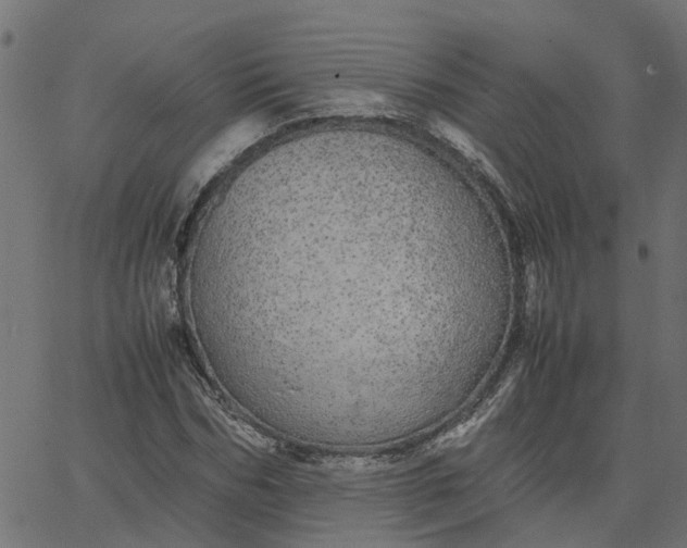 X0000067870970200604271731