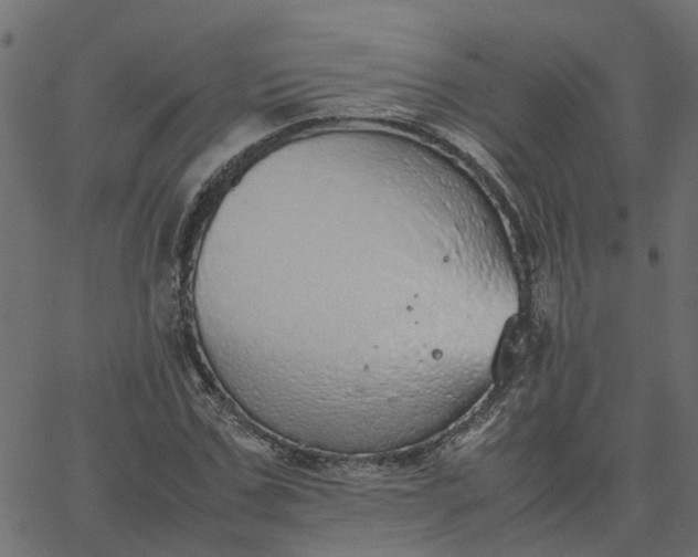 X0000067870971200604271731