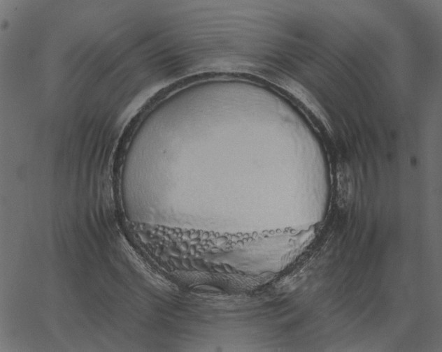 X0000067870972200604271731