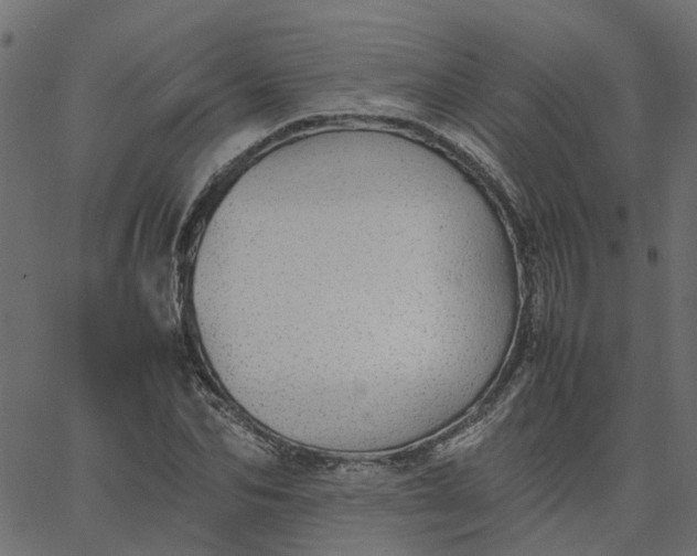 X0000067870974200604271731