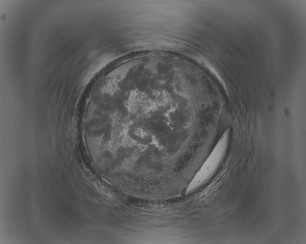 X0000067870975200604271731