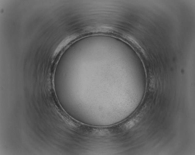 X0000067870978200604271731