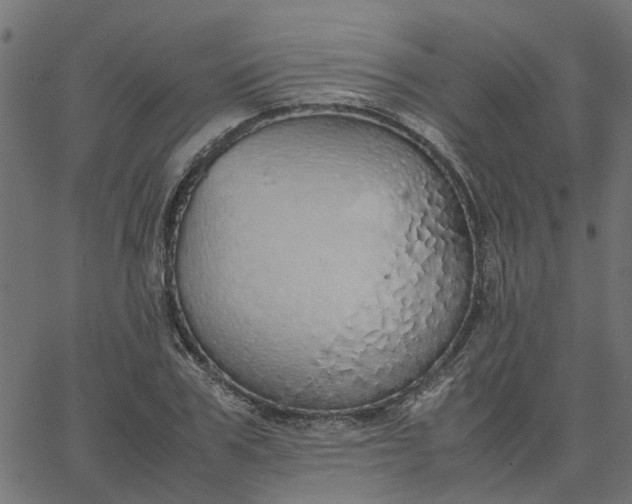 X0000067870979200604271731