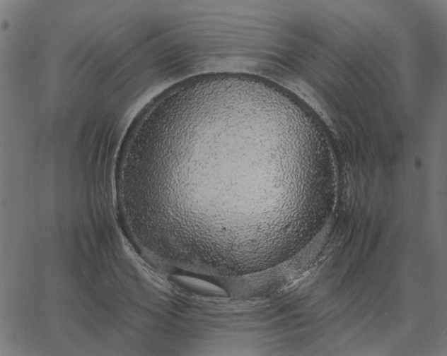 X0000067870980200604271731