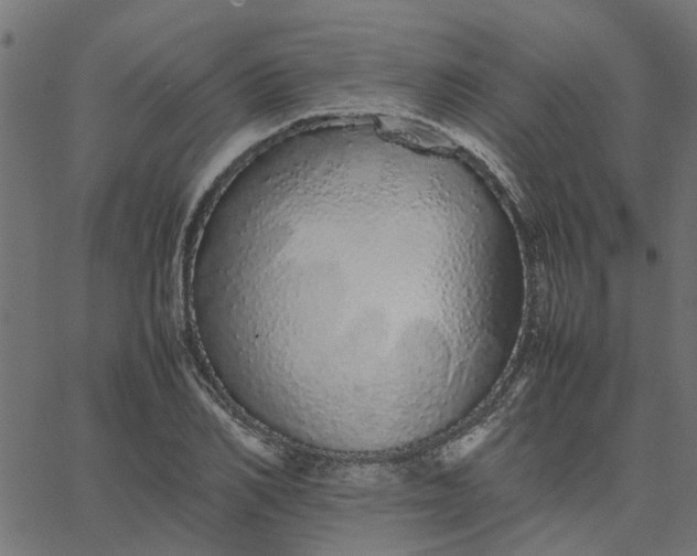 X0000067870982200604271731