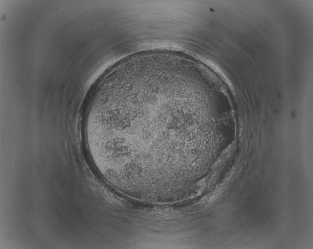 X0000067870983200604271731