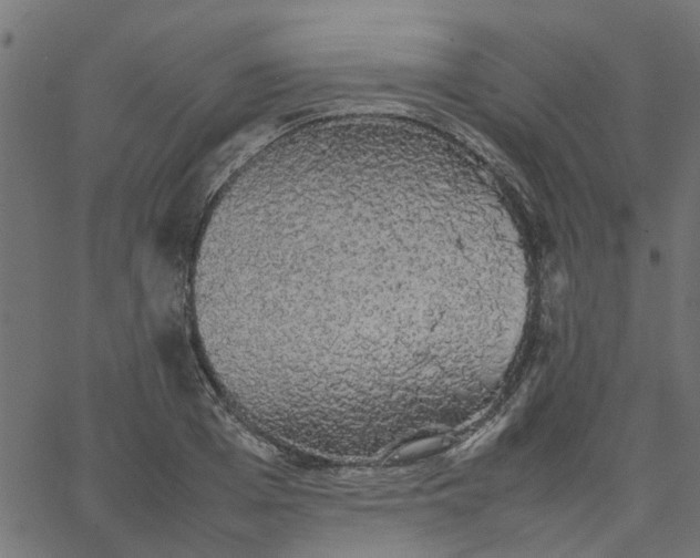 X0000067870985200604271731