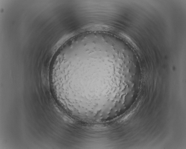 X0000067870986200604271731