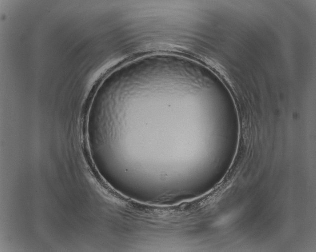 X0000067870987200604271731