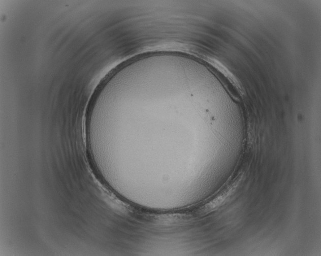 X0000067870988200604271731