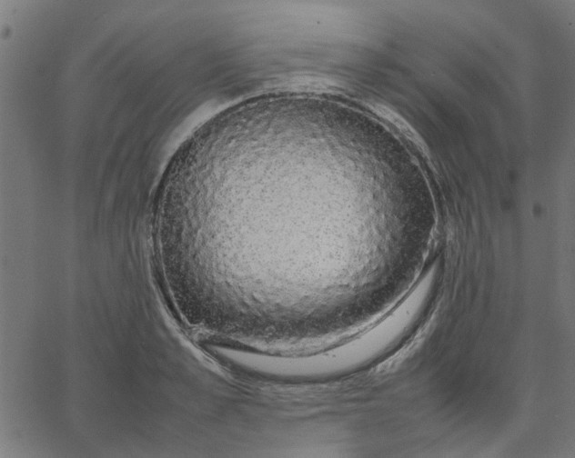 X0000067870989200604271731