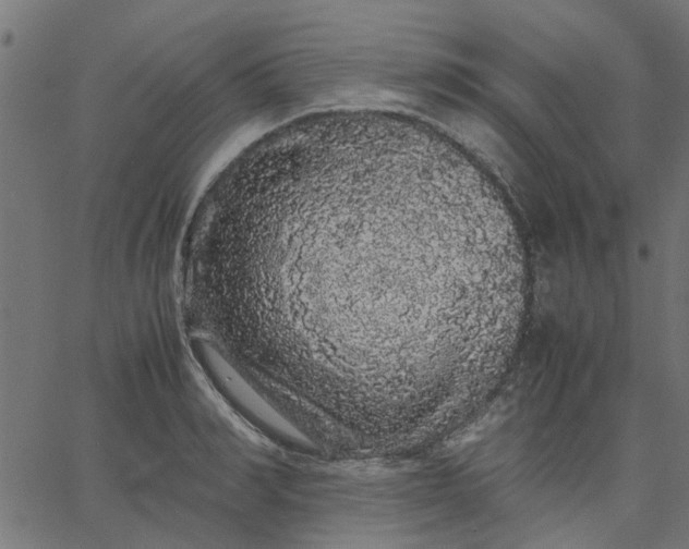 X0000067870990200604271731