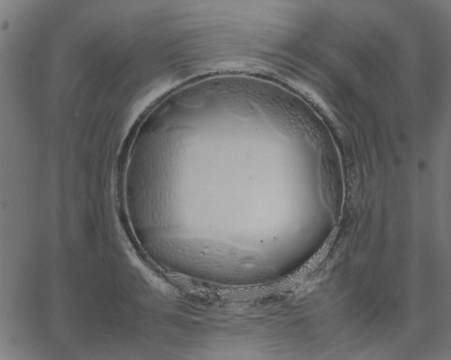 X0000067870991200604271731