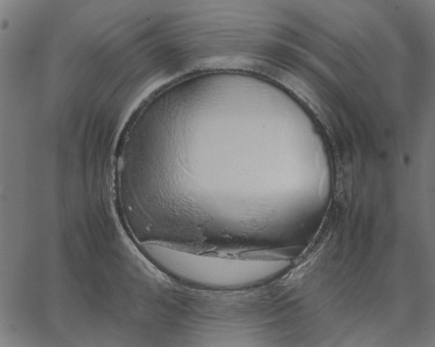 X0000067870992200604271731