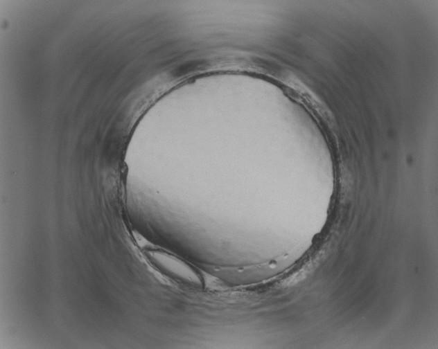 X0000067870993200604271731