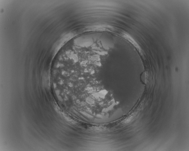 X0000067870994200604271731