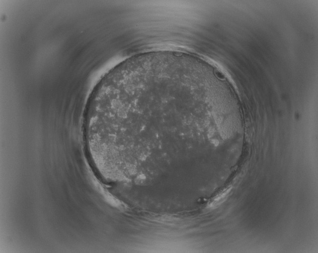 X0000067870995200604271731