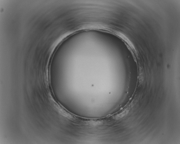 X0000067870996200604271731