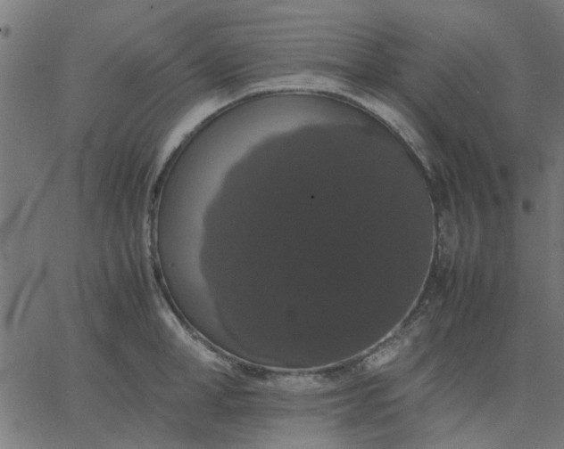 X0000067870998200604271731