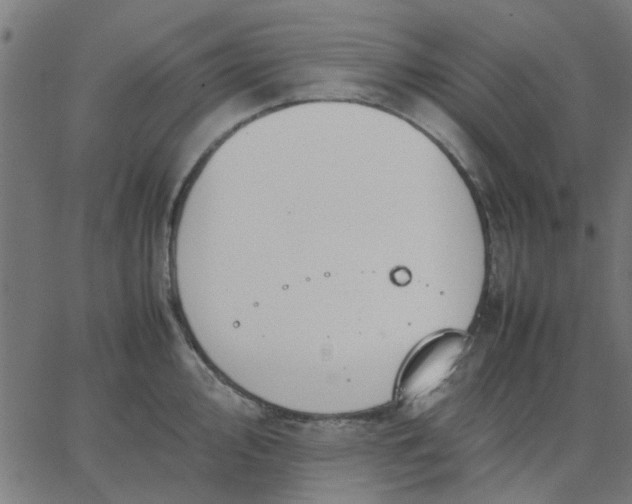 X0000067871000200604271731