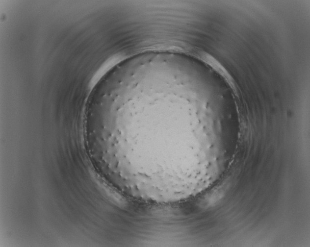 X0000067871002200604271731