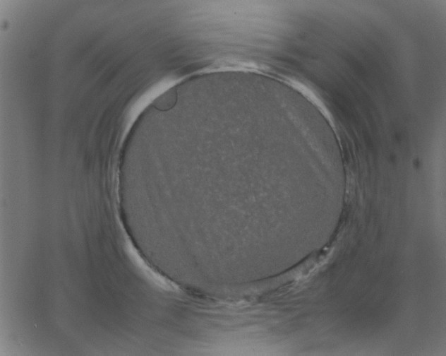 X0000067871003200604271731