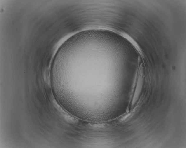 X0000067871004200604271731