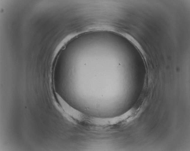 X0000067871005200604271731