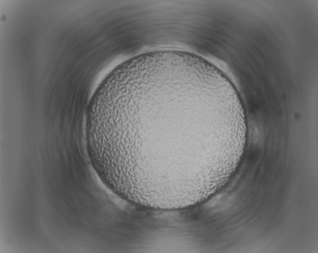 X0000067871006200604271731