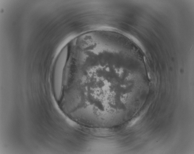 X0000067871007200604271731