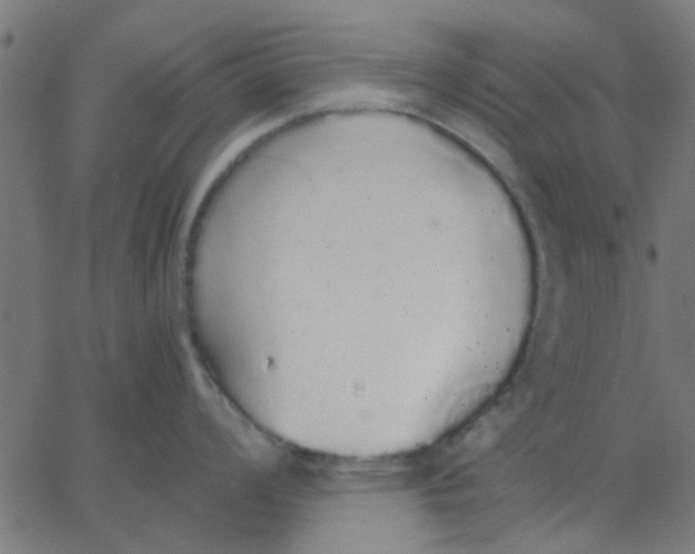 X0000067871008200604271731