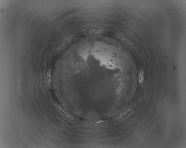 X0000067871011200604271730