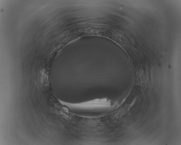 X0000067871013200604271730