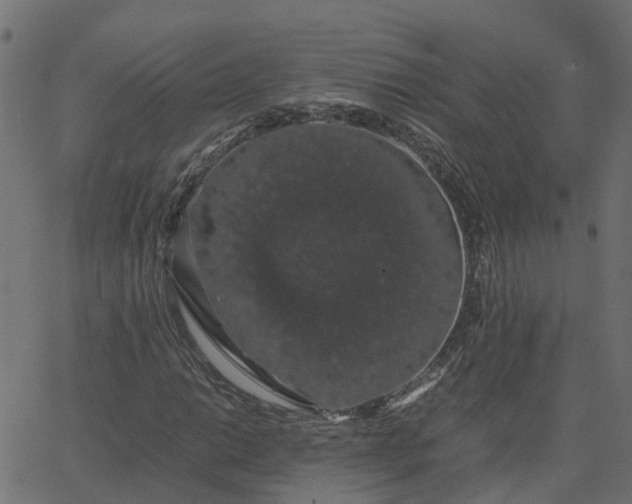 X0000067871014200604271730