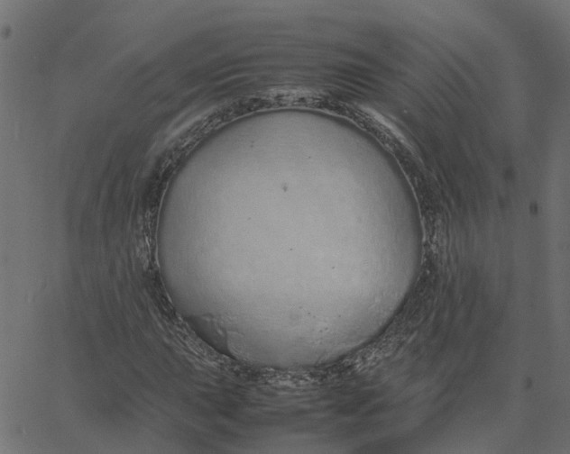 X0000067871015200604271730