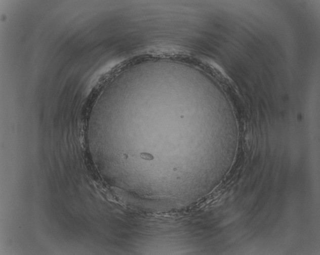 X0000067871016200604271730