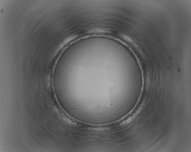 X0000067871017200604271730