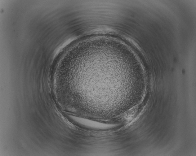 X0000067871018200604271730