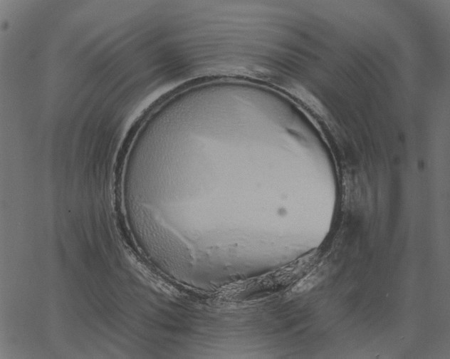 X0000067871020200604271730