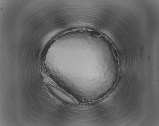 X0000067871022200604271730