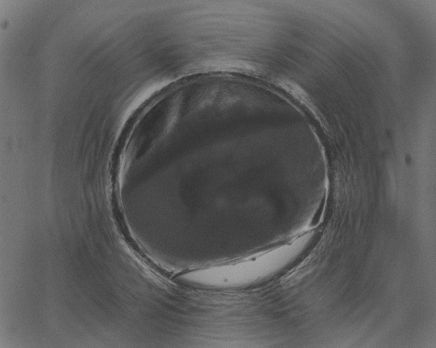 X0000067871024200604271730