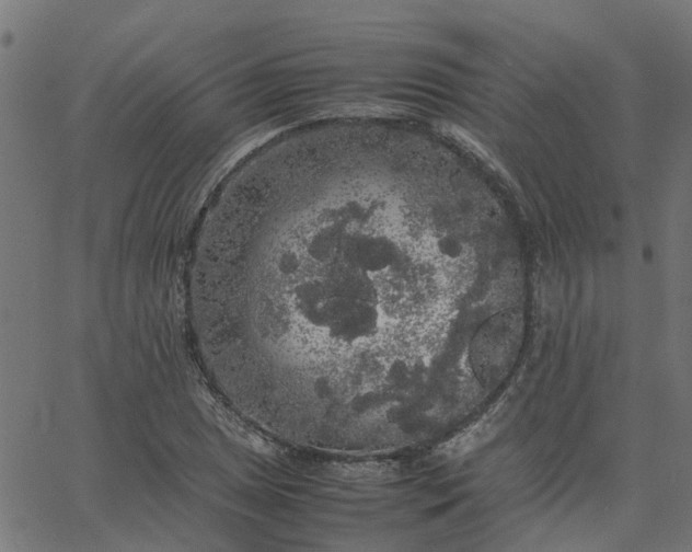 X0000067871025200604271730