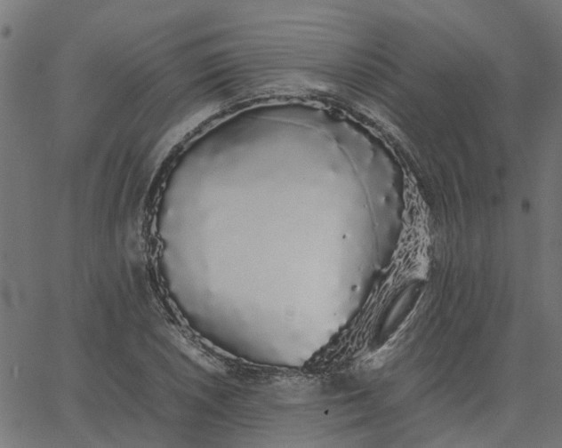 X0000067871026200604271730