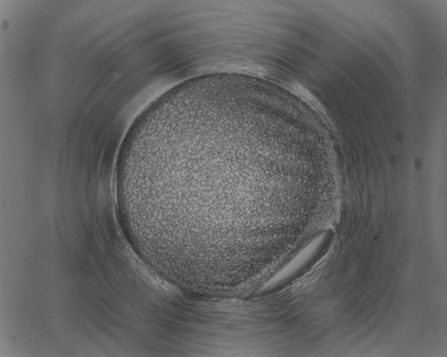 X0000067871028200604271730